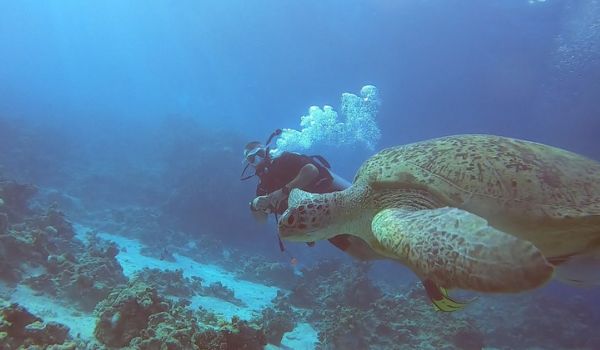PADI Underwater Naturalist